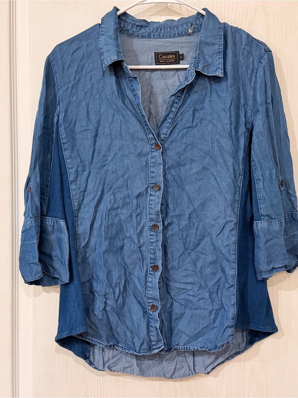 Cavalini Two-Tone Button-Down Shirt in Light and Dark Blue